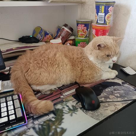 我爹枝江王向晚于2022-11-30 11:30发布的图片