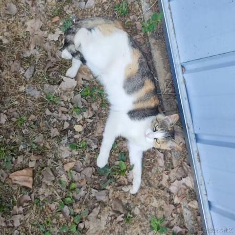 时之瞳于2022-11-19 22:45发布的图片