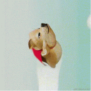 MSDCP于2022-05-02 11:05发布的图片