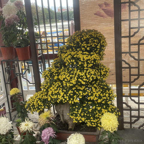 _山海于2023-11-16 17:36发布的图片