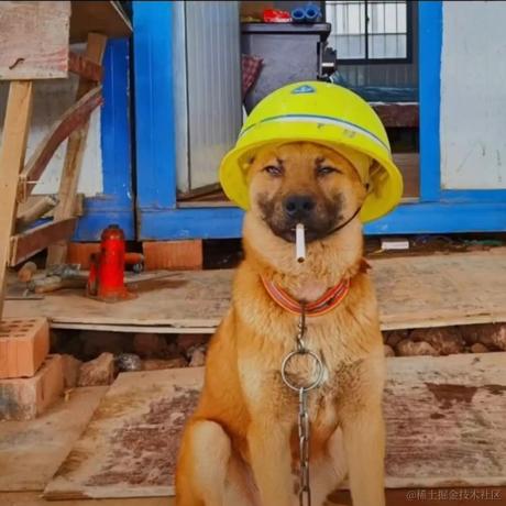 贝极星不是憨憨于2022-11-14 22:05发布的图片