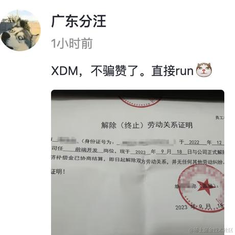 收藏砖家于2023-09-19 11:48发布的图片