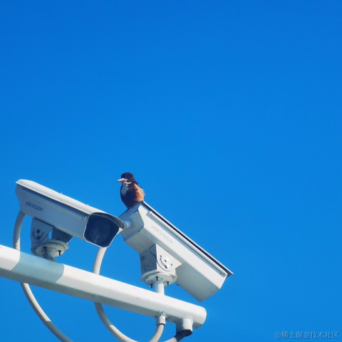 内推找我于2023-01-19 10:15发布的图片