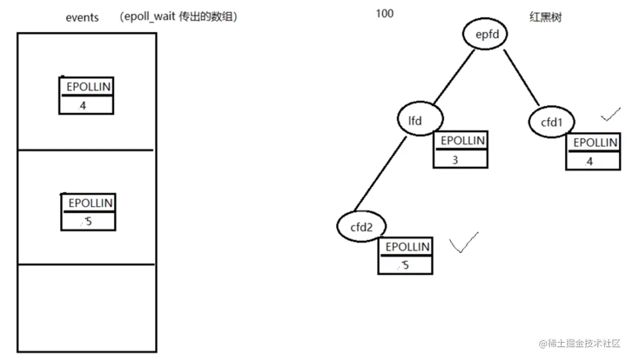 epoll_wait时的监听树