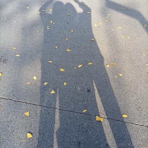 BK0717EMIN于2022-11-25 10:20发布的图片