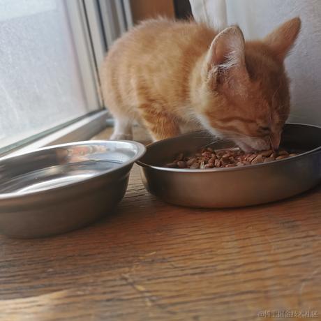 鲨脆脆脆于2023-06-06 21:39发布的图片