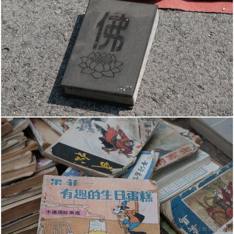 你好我就要起飞了于2023-09-19 10:17发布的图片