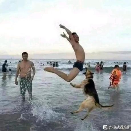 啦啦啦673于2023-06-25 14:11发布的图片