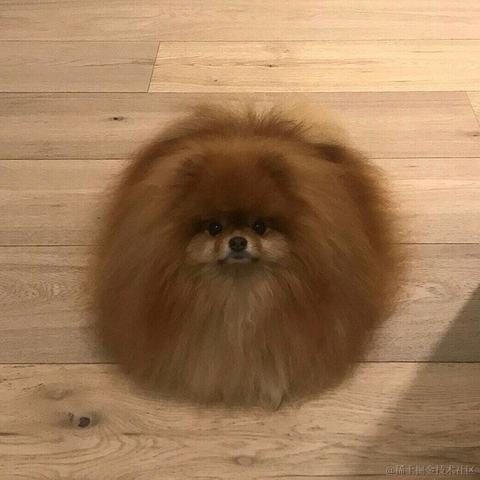 Abbeyyyyyyy于2020-10-30 22:35发布的图片