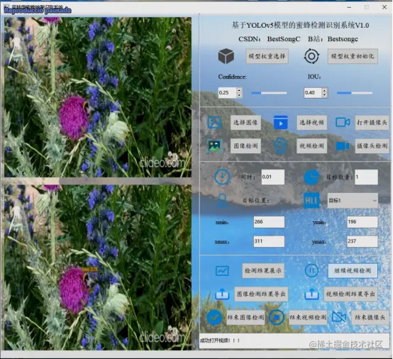 高精度蜜蜂检测识别系统447.png