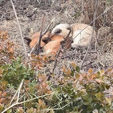 起无陌于2022-12-09 12:26发布的图片