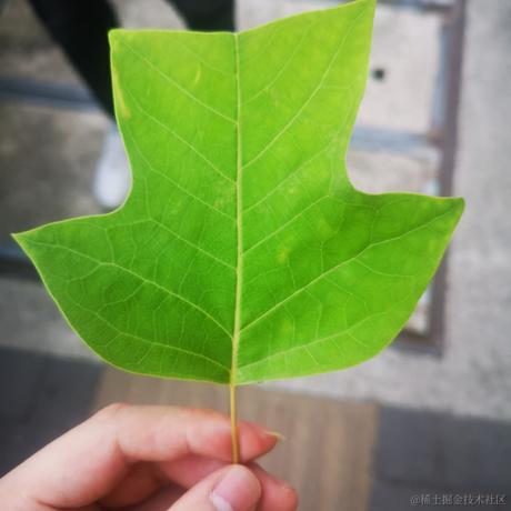 可爱小晚比于2022-11-13 23:43发布的图片