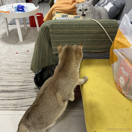 小蝴蝶于2021-12-27 23:31发布的图片