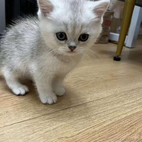 不爱吃小面于2023-05-17 10:06发布的图片