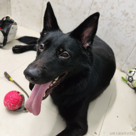 从热河到定西于2023-06-19 11:09发布的图片