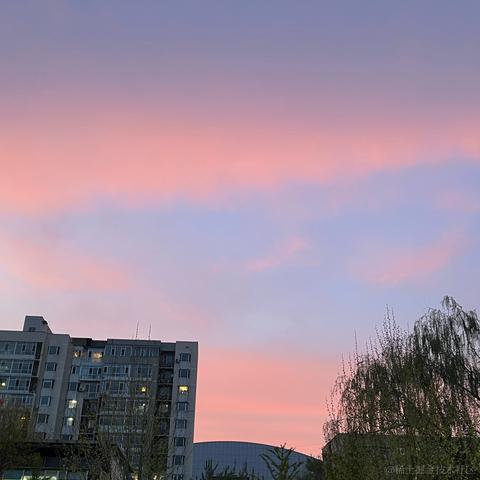 一个被人占用的名字于2022-04-14 11:27发布的图片
