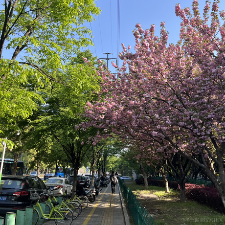 苏州第一深情于2024-04-10 08:56发布的图片