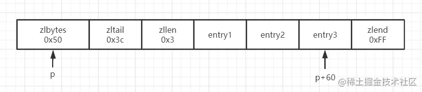 三节点压缩列表