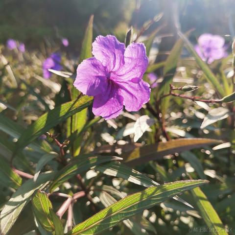 Jaxx于2022-12-13 10:35发布的图片