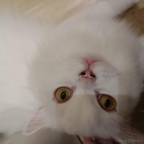 心想事成717于2023-06-25 14:24发布的图片