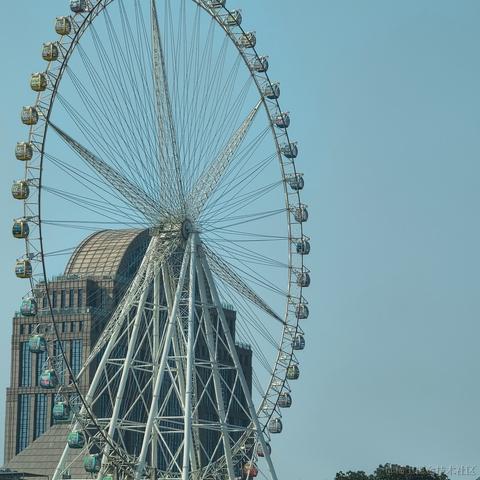 未季言于2023-01-19 11:48发布的图片