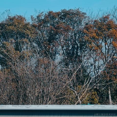 未季言于2023-01-19 10:01发布的图片