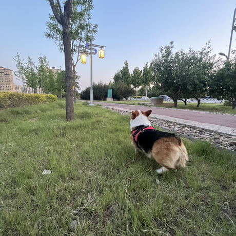 山己几_于2023-05-14 22:41发布的图片