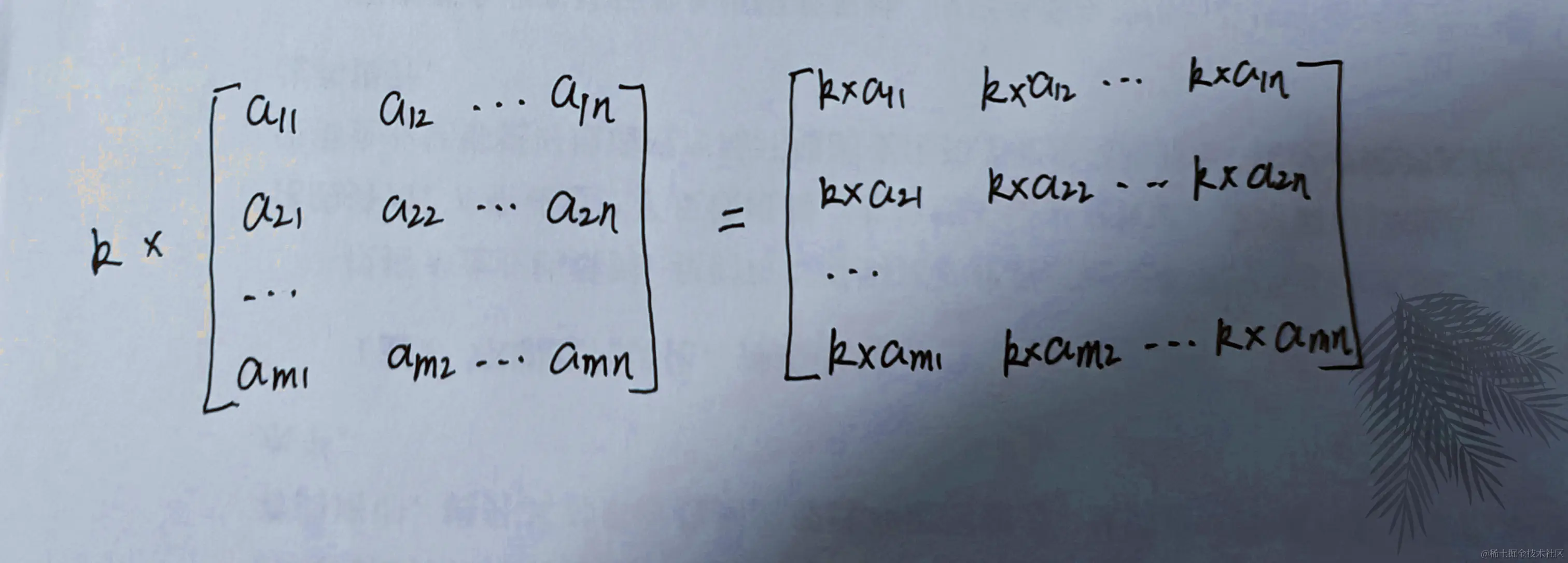 矩阵数乘_副本.png