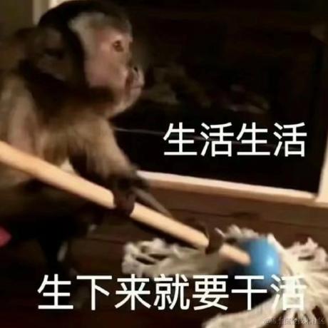 我不爱摸鱼于2024-05-29 09:42发布的图片