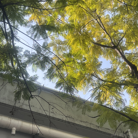 安酱于2023-05-05 12:06发布的图片