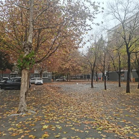 向晚可爱捏于2022-11-21 12:56发布的图片