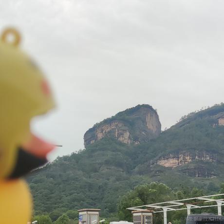 隽氪鱼于2023-07-01 07:34发布的图片