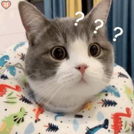 今天吃什么了于2023-07-21 09:47发布的图片