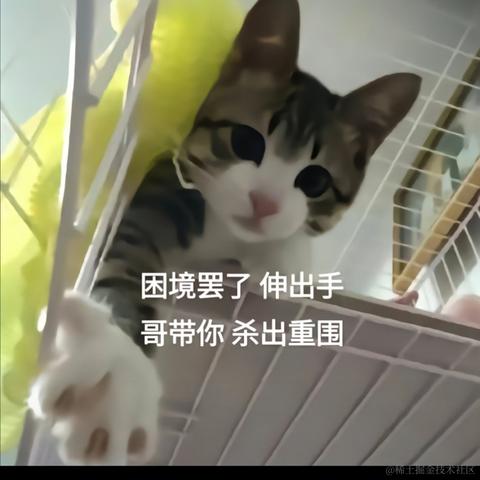 V__于2023-04-20 21:21发布的图片