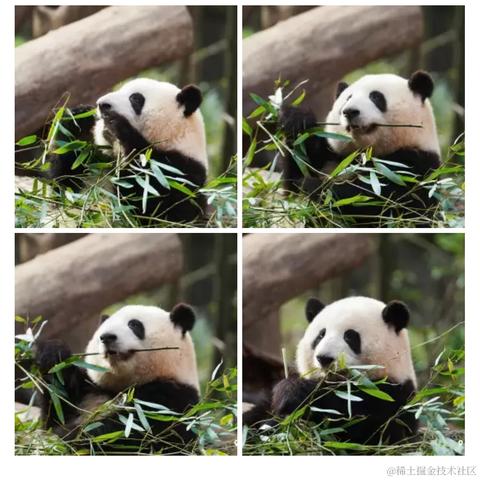 Ricardo_M_Eric于2023-05-20 17:27发布的图片