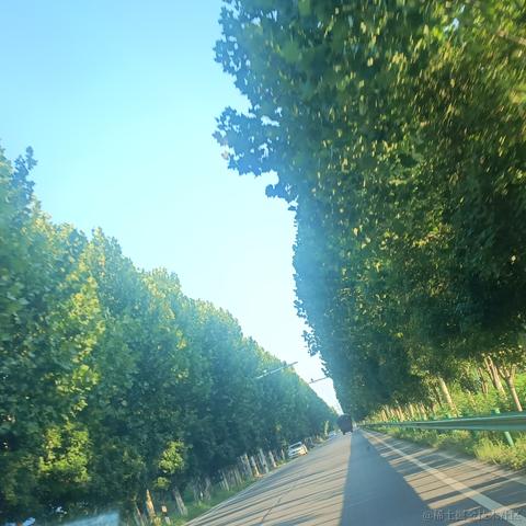 铁血贝极星于2022-11-29 00:09发布的图片