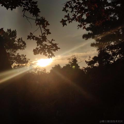 嘉然Dianaa于2022-11-27 16:57发布的图片