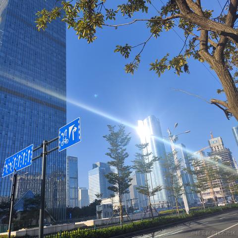媛媛啊9813于2023-12-07 08:57发布的图片