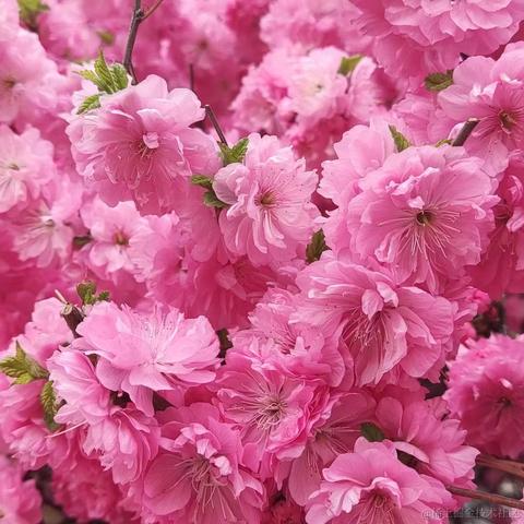 用户1008683613726于2023-04-27 20:43发布的图片