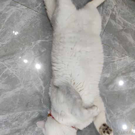 叨叨呀于2022-04-16 11:19发布的图片