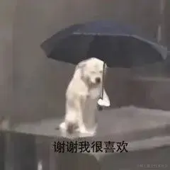 已注销于2022-06-27 08:21发布的图片