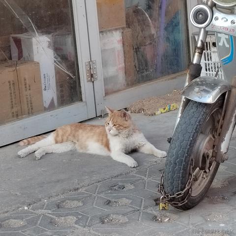 薄岁于2023-06-21 13:24发布的图片