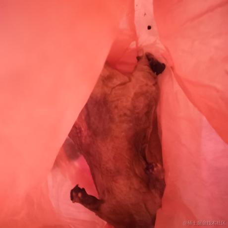 关注嘉然顿顿馋于2022-11-30 19:57发布的图片