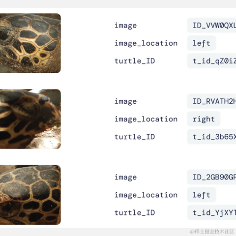 ShowMeAI于2022-09-06 14:04发布的图片