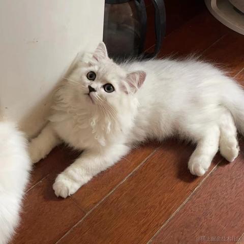 有喜于2023-10-20 14:59发布的图片