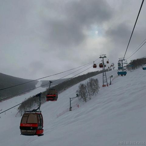 法医于2021-03-01 11:41发布的图片