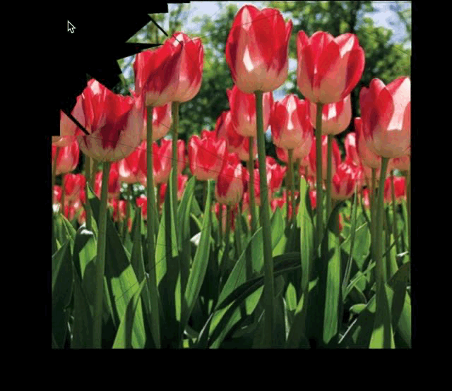 2022-07-17 183040.gif