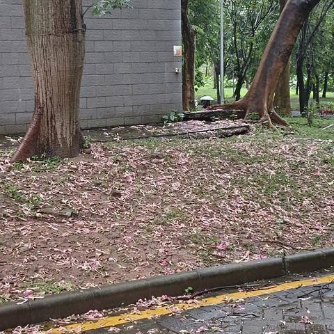 千岁归鹤于2022-11-25 10:09发布的图片