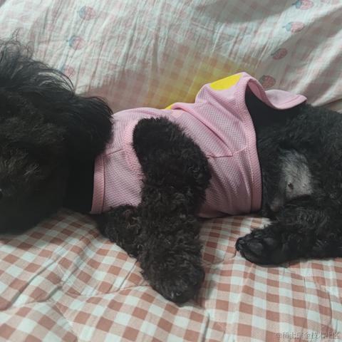 璇天凤舞于2023-05-15 03:04发布的图片