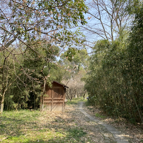 夜果子于2023-03-16 09:34发布的图片